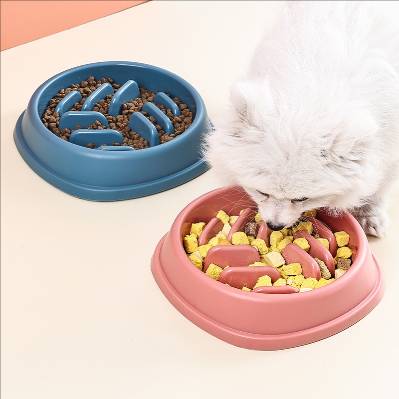Suprimentos para animais de es - Baby Food Cat avaliação e preço