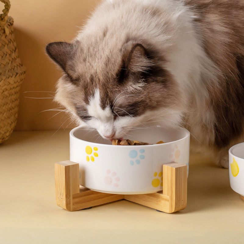 Tigela de cerâmica para cães c - Baby Food Cat avaliação e preço