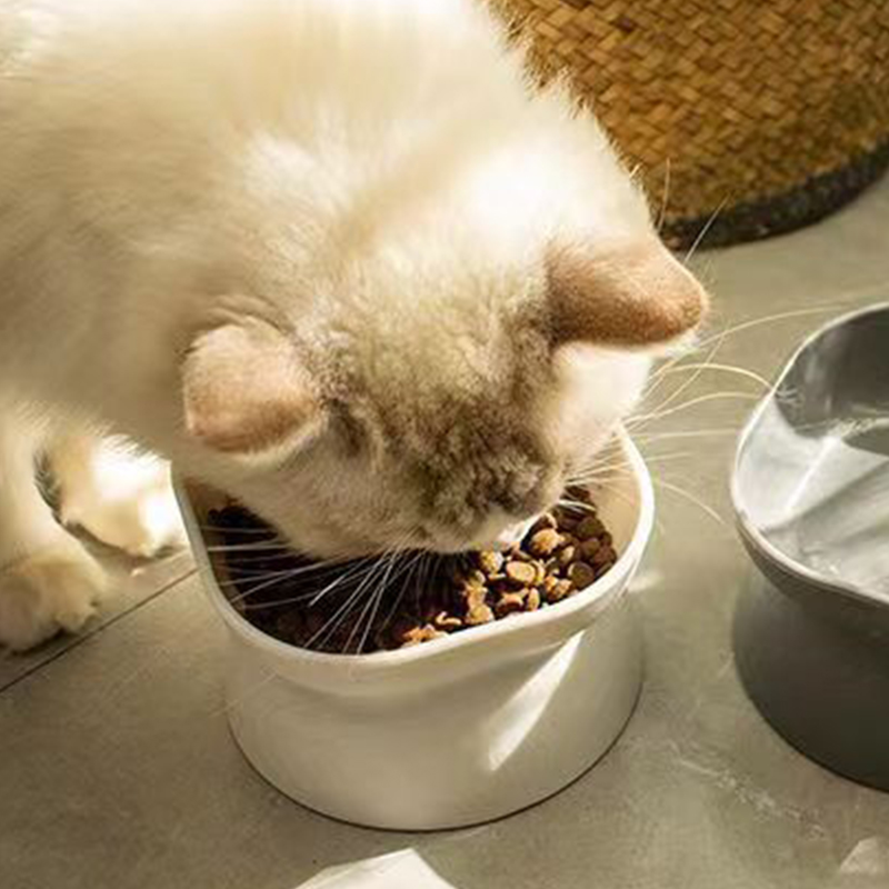 Tigela de comida de gato/cacho - Baby Food Cat avaliação e preço