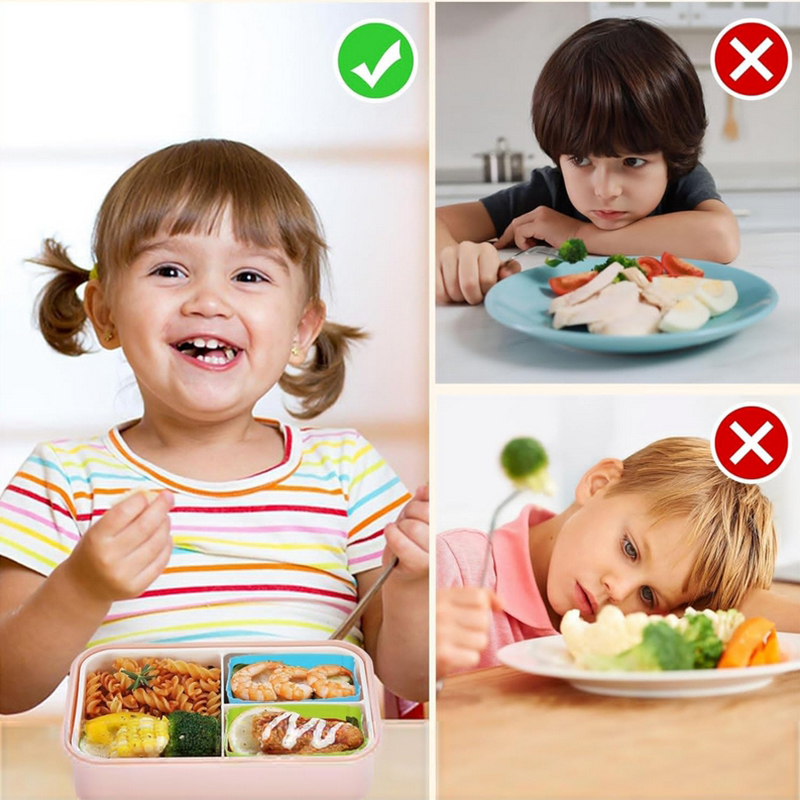 Divisórias de silicone para la - Baby Food Container avaliação e preço